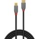 Kabel USB Lindy USB-C - microUSB 1 m Czarny (36891)