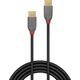 Kabel USB Lindy USB-C - USB-C 3 m Czarno-szary (36873)