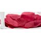 Party Deco Koszyczek na płatki róż lub pieniądze, biały, 26 cm. uniwersalny