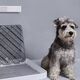 Petkit PETKIT Pura Air, Smart Odor Eliminator, Two Modes ( Auto Pet detection and every 6 Hours ). Negative Ions Generator to deactivate Virus. Notification Lights.