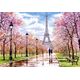 Castorland Puzzle Romantic Walk in Paris 1000 elementów