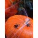Party Deco Pająki plastikowe czarne na Halloween - 10 szt. uniwersalny