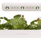 Click And Grow Click&Grow Inteligentna doniczka Smart Garden 3 White