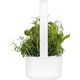 Click And Grow Click&Grow Inteligentna doniczka Smart Garden 9 Dark Grey