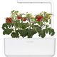 Click And Grow Click&Grow Kapsułki z nasionami Smart Soil Pomidorki koktajlowe 3pak