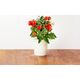 Click And Grow Click&Grow Kapsułki z nasionami Smart Soil Pomidorki koktajlowe 3pak