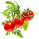 Click And Grow Click&Grow Kapsułki z nasionami Smart Soil Pomidorki koktajlowe 3pak