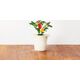 Click And Grow Click&Grow Kapsułki z nasionami Smart Soil Papryczka Chili 3pak