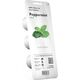 Click And Grow Click&Grow Kapsułki z nasionami Smart Soil Mięta pieprzowa 3pak