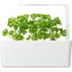 Click And Grow Click&Grow Kapsułki z nasionami Smart Soil Pietruszka 3pak