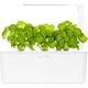 Click And Grow Click&Grow Kapsułki z nasionami Smart Soil Bazylia 3pak