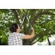 Sekator Gardena TeleCut 520-670 B nożycowy