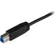 Kabel USB StarTech USB-B - USB-C 1 m Czarny (USB31CB1M)