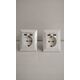 Digitus Assmann SOCKET WITH 2X USB PORTS/SAFETY WALL OUTLET 5V2.1A WHITE
