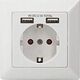 Digitus Assmann SOCKET WITH 2X USB PORTS/SAFETY WALL OUTLET 5V2.1A WHITE