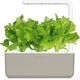 Click And Grow Refill sałata 3-pak