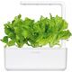 Click And Grow Refill sałata 3-pak