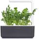 Click And Grow Refill rukola 3-pak