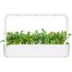 Click And Grow Refill rukola 3-pak