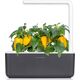 Click And Grow Click and Grow refill żółta papryka 3-pak