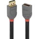Kabel Lindy DisplayPort - DisplayPort 1m szary (36496)