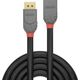 Kabel Lindy DisplayPort - DisplayPort 1m szary (36496)