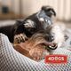 4DOGS 4DOGS GRYZAK Z KORZENIA WRZOŚCA roz.S