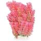 Happet HAPPET ROŚLINA FOLIA 20CM / 2F16