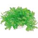 Happet HAPPET ROŚLINA FOLIA 10CM / 1F22