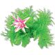 Happet HAPPET ROŚLINA FOLIA 10CM / 1F12