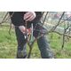 Sekator Felco 8 Classic nożycowy