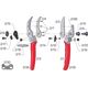 Sekator Felco 2 Classic nożycowy