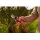 Sekator Felco 2 Classic nożycowy