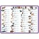 Visual System Podkładka ćwiczeniowa - Animals