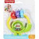 Fisher Price Fiher Price Grzechotka Żółw FGJ57