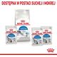 Royal Canin ROYAL CANIN Indoor Sterilised Jelly saszetka 12x85g