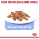 Royal Canin ROYAL CANIN Indoor Sterilised Jelly saszetka 12x85g