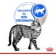 Royal Canin ROYAL CANIN Indoor Sterilised Jelly saszetka 12x85g
