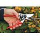 Sekator Felco 9 Classic nożycowy