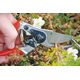 Sekator Felco 9 Classic nożycowy