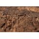 Terra Natura Tło do terrarium, Płyta korkowa CAMELEON 60x30cm (kraj pochodzenia : Portugalia)