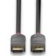 Kabel Lindy DisplayPort - DisplayPort 10m szary (36486)