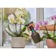Gardena opryskiwacz do roślin 750 ml czarny