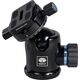 Statyw Sirui Sirui MT-2204 + MT-20 Tripod Kit with Ballhead