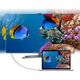 Kabel USB Choetech USB-C - DisplayPort 1.8 m Czarny (6971824971569)