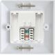 Lanview CAT6 Faceplate Single Gang UK