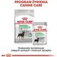Royal ROYAL PIES sasz. 85g DIGESTIVE CARE