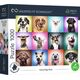 Trefl Puzzle 1000 Funny Dogs Faces Unlimited Fit Technology