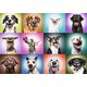 Trefl Puzzle 1000 Funny Dogs Faces Unlimited Fit Technology