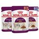 Royal Canin Sensory Taste Gravy 85g